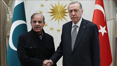 أردوغان وشريف يبحثان العلاقات التركية الباكستانية وقضايا دولية