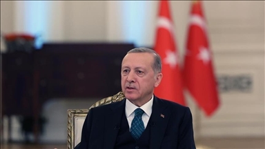 Эрдоган: Турция продолжит делиться опытом с Нигерией в области оборонпрома