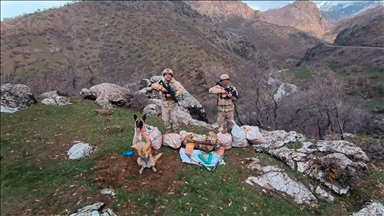 "Bozdoğan-23" operasyonlarında 32 mağara, sığınak ve barınma alanı imha edildi