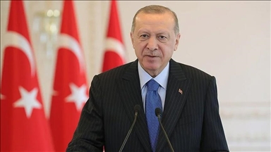 أردوغان يبحث مع رئيس نيجيريا العلاقات الثنائية وقضايا دولية