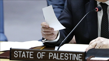 UN committee fails to reach consensus on Palestine's membership bid