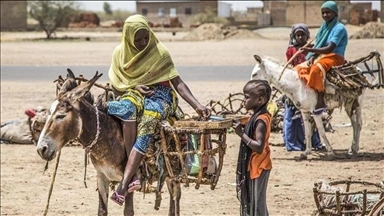 Afrique de l'Ouest et du Centre : 55 millions de personnes confrontées à l'insécurité alimentaire