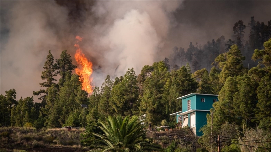 Espagne : Un incendie ravage 500 hectares de végétation à Valence