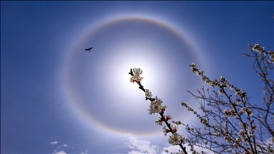 Neobična pojava na nebu iznad turskog Vana: Ledeni prsten oko Sunca