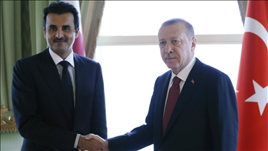 Turkish president, Qatari emir discuss humanitarian situation in Gaza