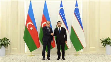 В Ташкенте обсудили вопросы расширения сотрудничества между Азербайджаном и Узбекистаном