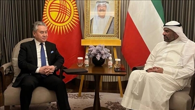 Главы МИД Кыргызстана и Кувейта обсудили перспективы развития двустороннего взаимодействия