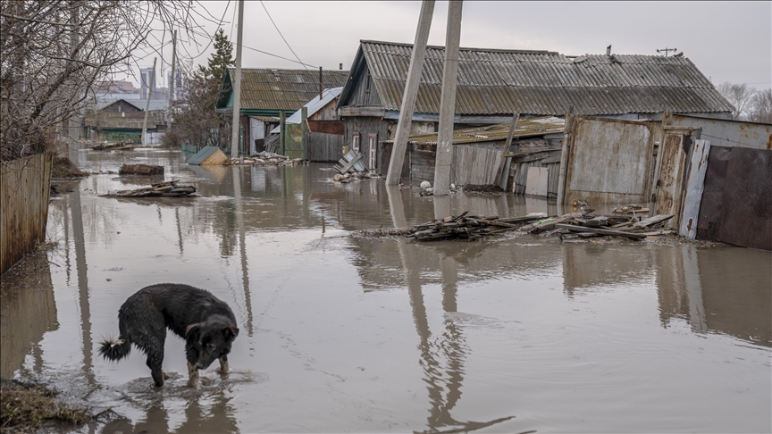 Flash floods claim 17 lives in Oman