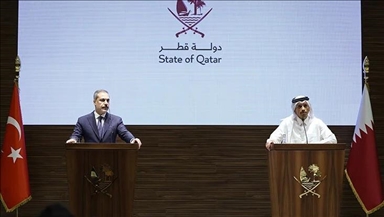Глава МИД Катара Ас-Сани: Турция играет важную роль в регионе