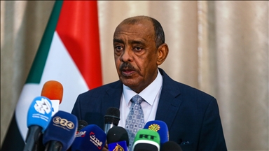 Sudan's Foreign Minister Ali al-Sadiq Dismissed: State television