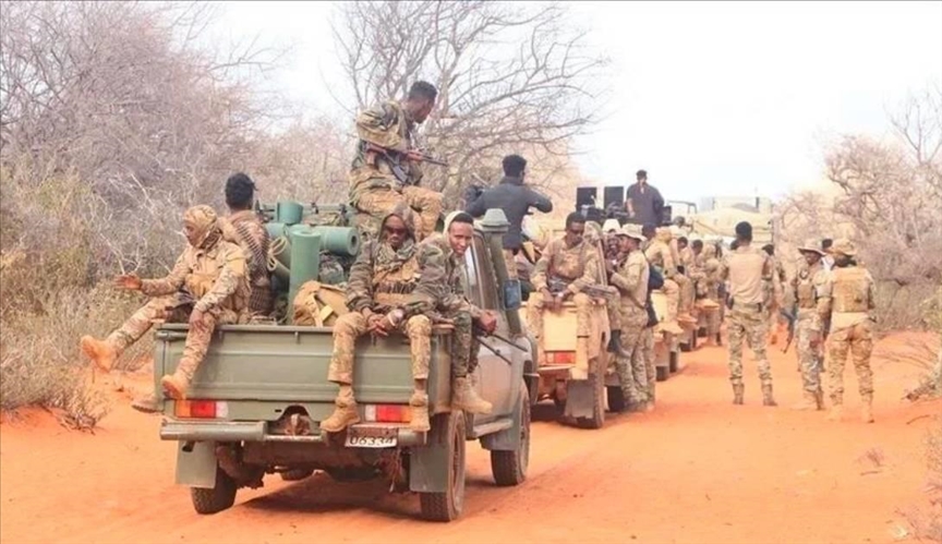 Somalie : Neuf terroristes d'Al-Shabab tués lors d'une opération de l'armée