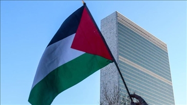 Palestine says full UN membership to 'alleviate historical injustices'