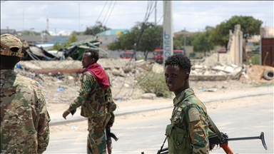 9 al-Shabaab terrorists killed in Somali military operation: Defense Ministry
