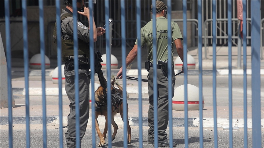 Israeli army dog attacks Palestinian in bed