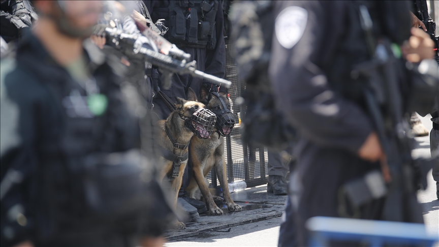 فيديو يظهر كلبا للجيش الإسرائيلي يهاجم فلسطينيا في فراشه