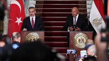 موضوعات منطقه‌ای؛ دستور کار سفر وزیر خارجه مصر به ترکیه 