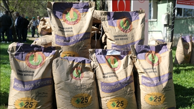 Muş'ta 150 çiftçiye 100 ton korunga tohumu dağıtıldı
