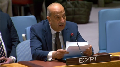 مصر: فلسطين مؤهلة بكل المعايير للانضمام إلى الأمم المتحدة 