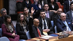 ABD, Filistin'in BM'ye tam üyeliği talep edilen karar tasarısını veto etti