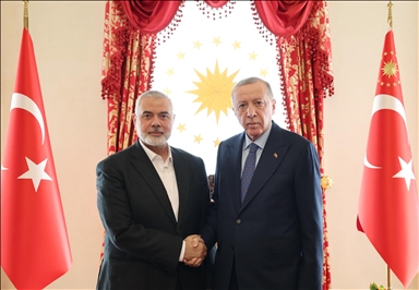 Президент Эрдоган принял главу Политбюро ХАМАС Исмаила Ханию