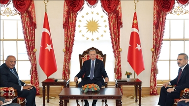 إسطنبول.. الرئيس أردوغان يستقبل وزير الخارجية المصري