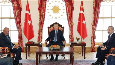 Turkish President Erdogan receives Egypt’s top diplomat