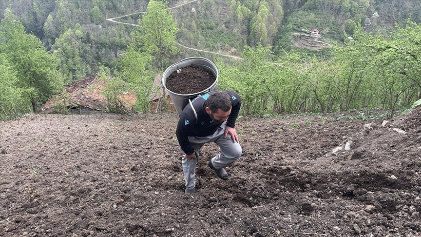 Dik yamaçlardaki tarım arazilerini toprak taşıyarak ekime hazırlıyorlar