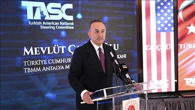 NATO Parlamenter Asamblesi Türk Delegasyonu Başkanı Çavuşoğlu New York'ta Türk Diasporası Buluşması'na katıldı