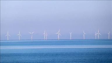 Denmark launches biggest offshore wind tender in its history
