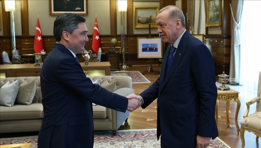 Turkish President Erdogan, Kazakh premier discuss regional, global issues