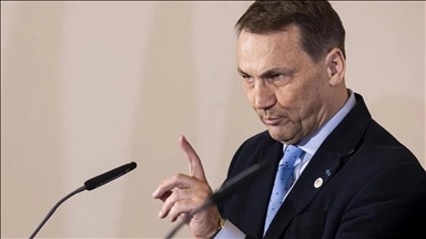 Ministar vanjskih poslova Sikorski: Poljska spremna sarađivati s "neimperijalnom Rusijom"