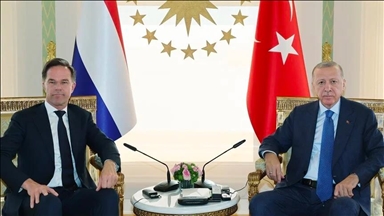 Erdogan reçoit le PM néerlandais Mark Rutte