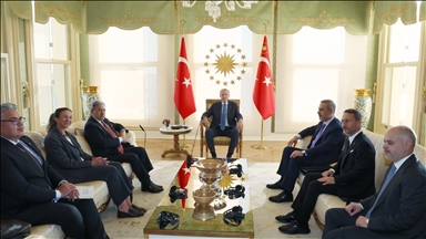 Cumhurbaşkanı Erdoğan, Yeni Zelanda Başbakan Yardımcısı Peters'ı kabul etti