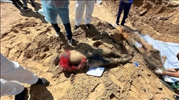 Официјални претставници од Газа се сомневаат во кражба на органи од тела пронајдени во масовни гробници