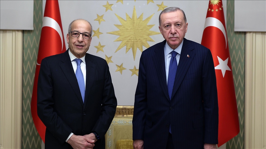 Эрдоган: Турция продолжит способствовать достижению устойчивого и прочного политического решения в Ливии