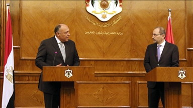 Egyptian, Jordanian foreign ministers to attend Arab-US meeting in Riyadh on Gaza situation