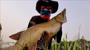 Kırklareli'nde amatör balıkçı 1 metre uzunluğunda turna balığı tuttu