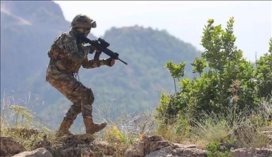 Terrorisme : les forces turques neutralisent 2 membres du PKK/YPG dans le nord de la Syrie
