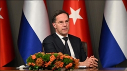 Турция поддержит кандидатуру Марка Рютте на пост генсека НАТО