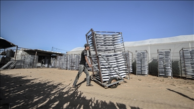 عشية يوم العمال.. 75 بالمئة نسبة البطالة بقطاع غزة
