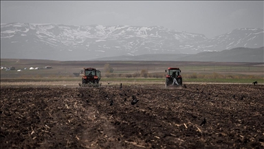 Karların eridiği Kars'ta çiftçiler yem bitkisi ekim mesaisinde