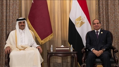 L'émir du Qatar et le président égyptien discutent des efforts de médiation pour un cessez-le-feu à Gaza