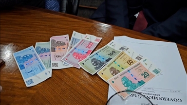 Le Zimbabwe se dote d'une nouvelle monnaie pour contrer l'inflation