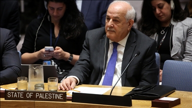 Palestine's admission to UN ‘long overdue': Envoy