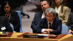 Türkiye criticizes UN Security Council's veto power as barrier to recognition of Palestine