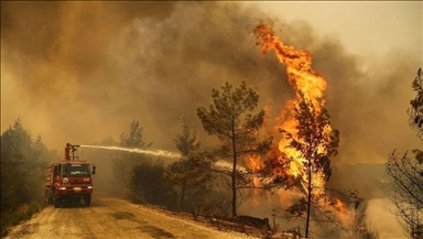 В России в 5 км от населенных пунктов действует восемь очагов лесных пожаров 