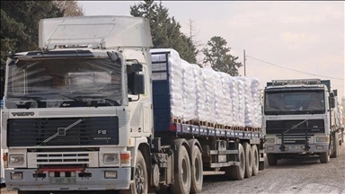 أبو ظبي: دخول 12 شاحنة مساعدات إنسانية إماراتية إلى غزة