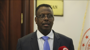 الحكومة الصومالية تصدّق على "اتفاقية العدالة" مع تركيا