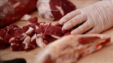 Производство красного мяса в Турции выросло на 8,8% в 2023 году