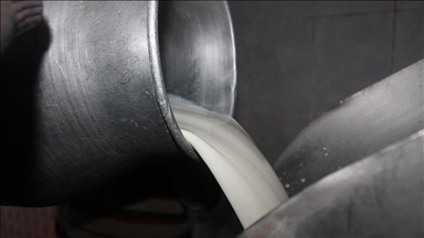 В 2023 году в Турции произведено 21,5 млн тонн сырого молока